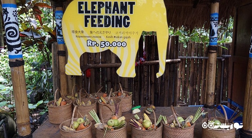  پارک دریایی و سافاری بالی شهر اندونزی کشور بالی