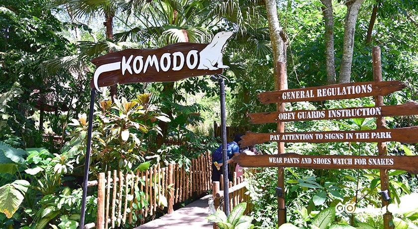  پارک دریایی و سافاری بالی شهر اندونزی کشور بالی