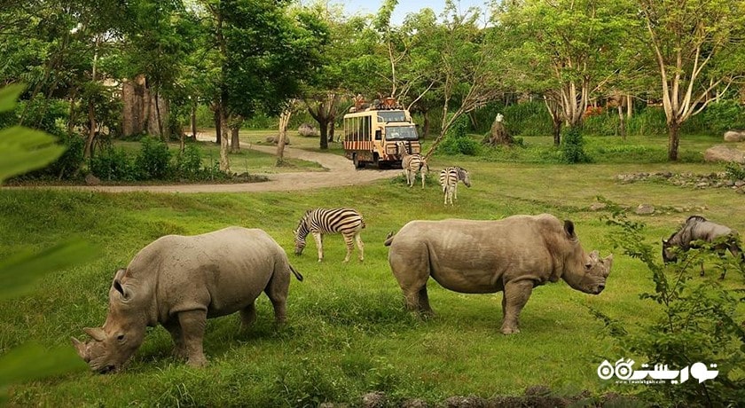  پارک دریایی و سافاری بالی شهر اندونزی کشور بالی