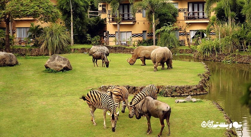  پارک دریایی و سافاری بالی شهر اندونزی کشور بالی