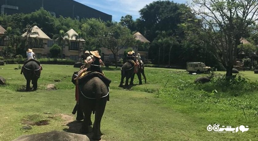  پارک دریایی و سافاری بالی شهر اندونزی کشور بالی