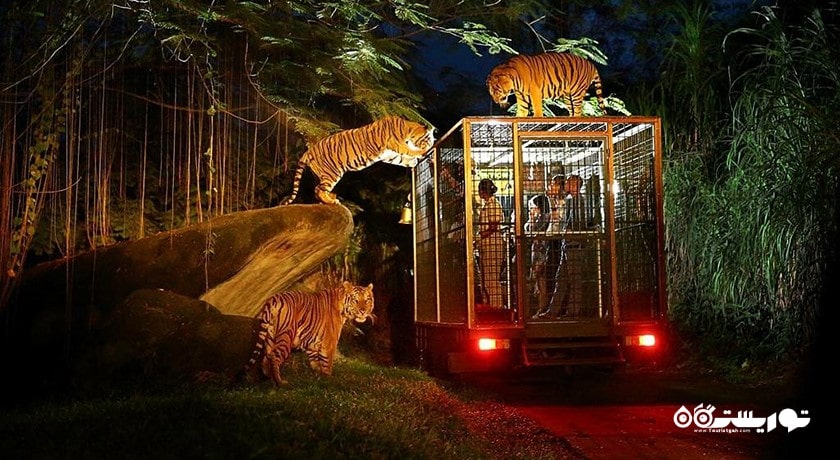  پارک دریایی و سافاری بالی شهر اندونزی کشور بالی