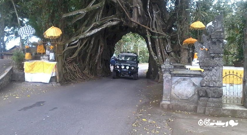  بونوت بولونگ در جمبرانا شهر اندونزی کشور بالی