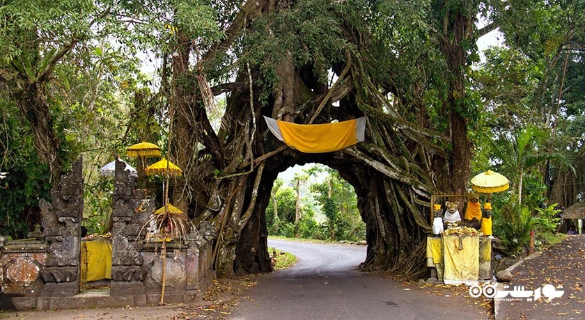  بونوت بولونگ در جمبرانا شهر اندونزی کشور بالی