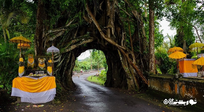  بونوت بولونگ در جمبرانا شهر اندونزی کشور بالی
