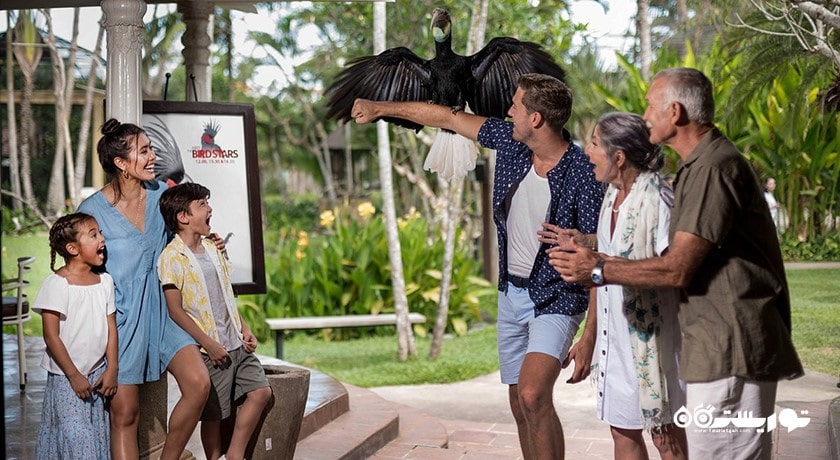  پارک پرندگان و خزندگان بالی شهر اندونزی کشور بالی