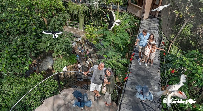  پارک پرندگان و خزندگان بالی شهر اندونزی کشور بالی