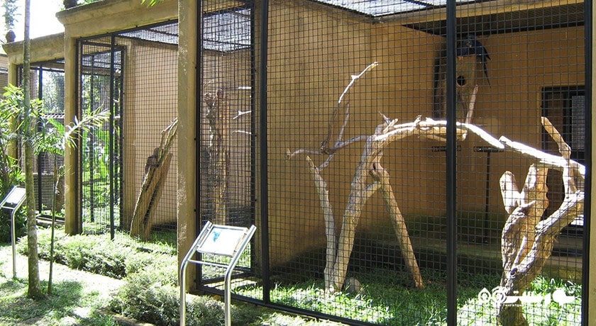  پارک پرندگان و خزندگان بالی شهر اندونزی کشور بالی