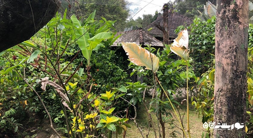  پارک پروانه بالی شهر اندونزی کشور بالی