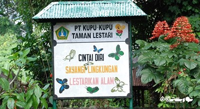  پارک پروانه بالی شهر اندونزی کشور بالی
