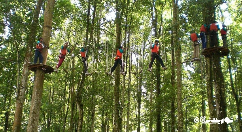  پارک ماجراجویی بالی تری تاپ شهر اندونزی کشور بالی