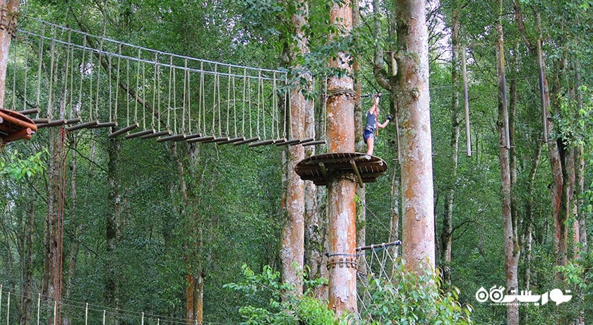  پارک ماجراجویی بالی تری تاپ شهر اندونزی کشور بالی