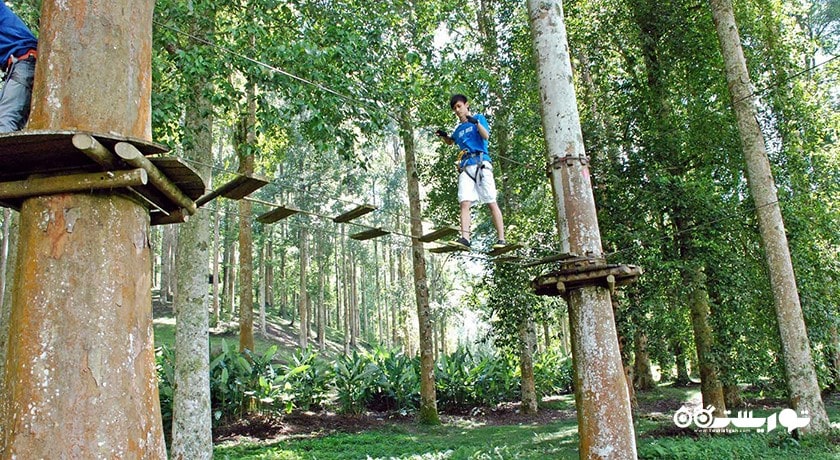  پارک ماجراجویی بالی تری تاپ شهر اندونزی کشور بالی