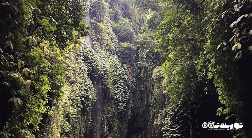 آبشار سکومپول -  شهر بالی