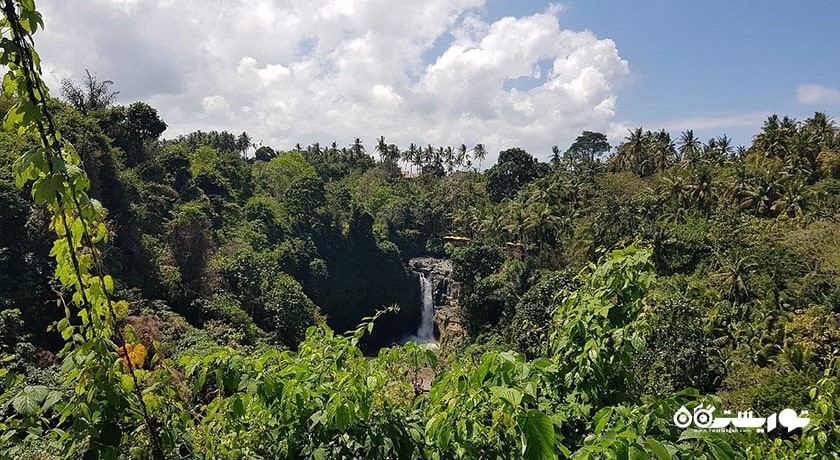  آبشار تگنونگان شهر اندونزی کشور بالی
