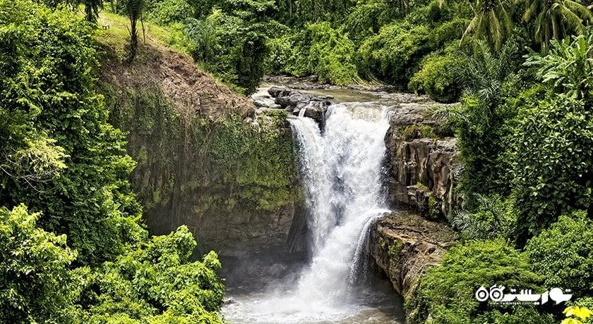  آبشار تگنونگان شهر اندونزی کشور بالی