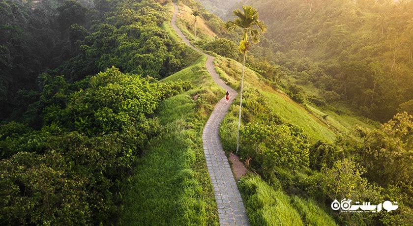 سرگرمی مسیر پیاده روی در تپه کامپوهان شهر اندونزی کشور بالی