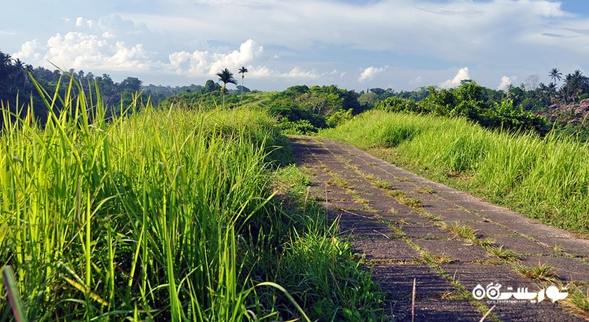 سرگرمی مسیر پیاده روی در تپه کامپوهان شهر اندونزی کشور بالی