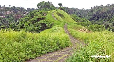 مسیر پیاده روی در تپه کامپوهان -  شهر بالی