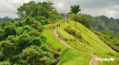 سرگرمی مسیر پیاده روی در تپه کامپوهان شهر اندونزی کشور بالی