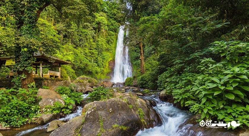  آبشار گیتگیت شهر اندونزی کشور بالی