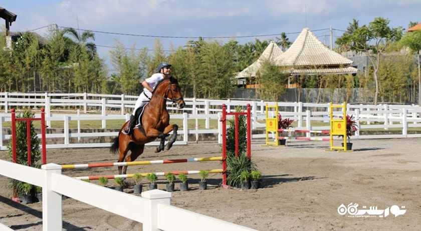 سرگرمی اسب سواری در بالی شهر اندونزی کشور بالی