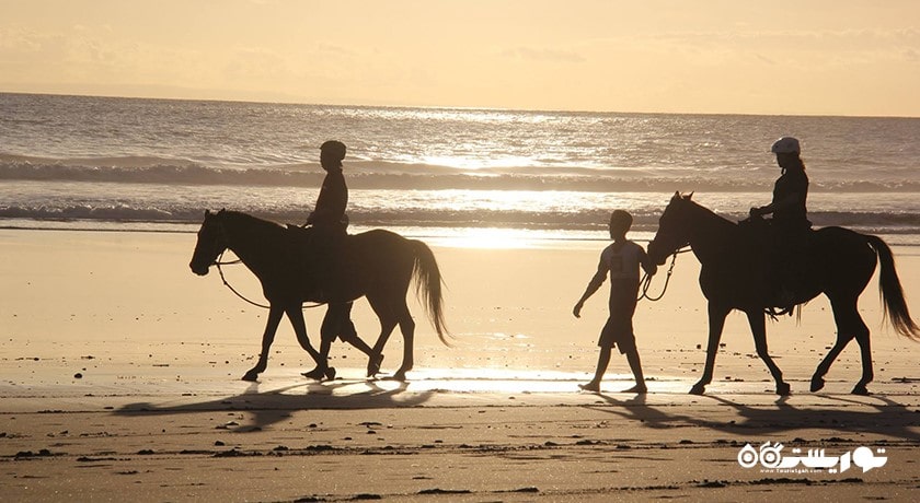 سرگرمی اسب سواری در بالی شهر اندونزی کشور بالی