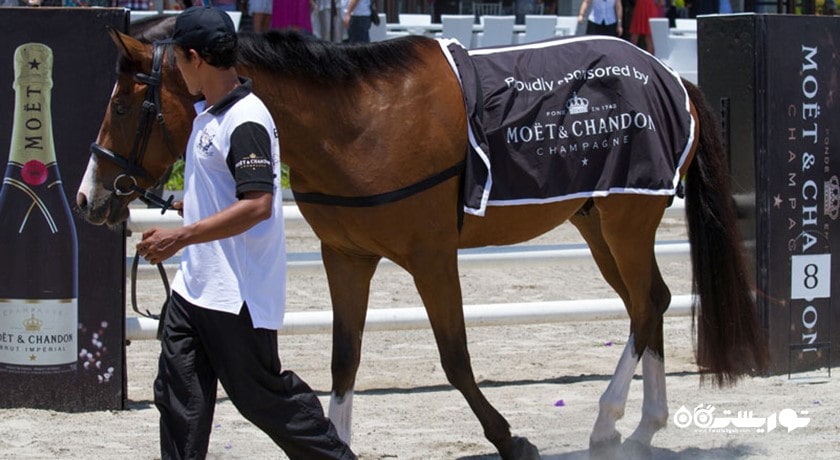 سرگرمی اسب سواری در بالی شهر اندونزی کشور بالی