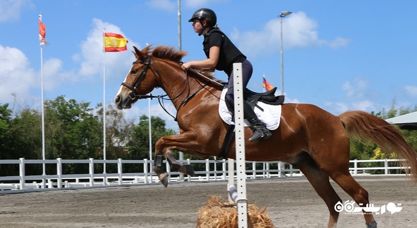 سرگرمی اسب سواری در بالی شهر اندونزی کشور بالی