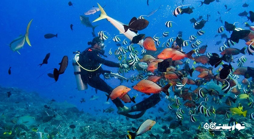 سرگرمی غواصی بدون تجهیزات در بالی شهر اندونزی کشور بالی