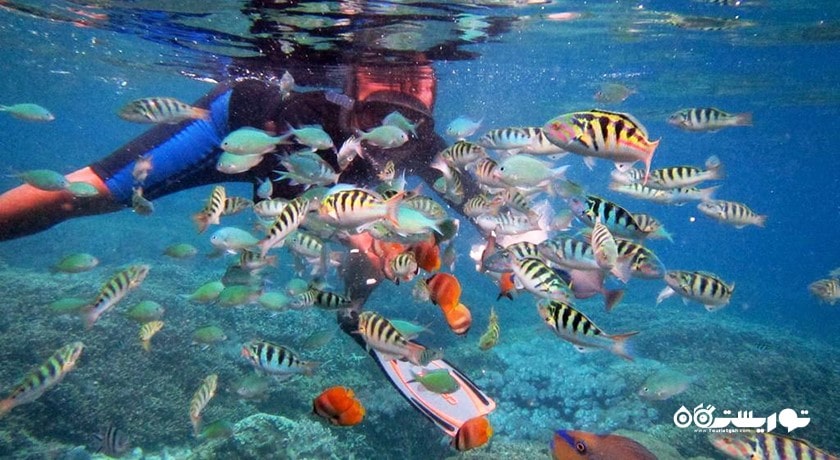 سرگرمی غواصی بدون تجهیزات در بالی شهر اندونزی کشور بالی