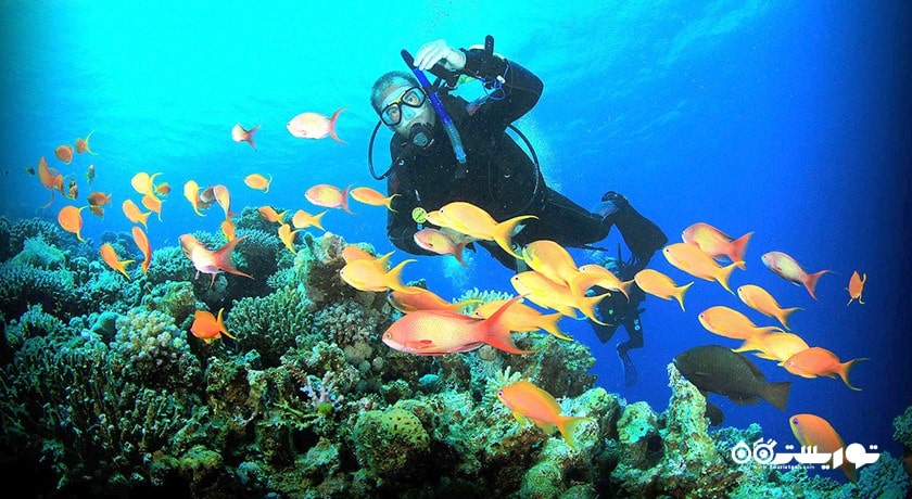 سرگرمی غواصی بدون تجهیزات در بالی شهر اندونزی کشور بالی