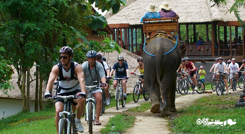 سرگرمی دوچرخه سواری در بالی شهر اندونزی کشور بالی