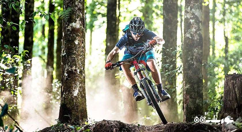 سرگرمی دوچرخه سواری در بالی شهر اندونزی کشور بالی