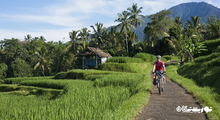 سرگرمی دوچرخه سواری در بالی شهر اندونزی کشور بالی