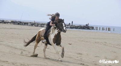 سرگرمی اسب سواری در کوش آداسی شهر ترکیه کشور کوش آداسی