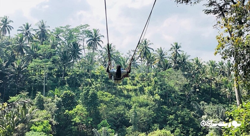 سرگرمی بالی سویینگ شهر اندونزی کشور بالی