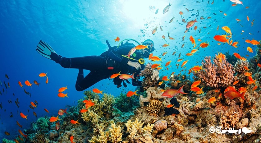 غواصی در بالی -  شهر بالی