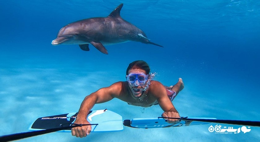 سرگرمی ساب وینگ در بالی شهر اندونزی کشور بالی