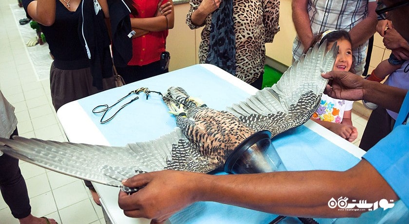 بیمارستان شاهین ابوظبی -  شهر ابوظبی