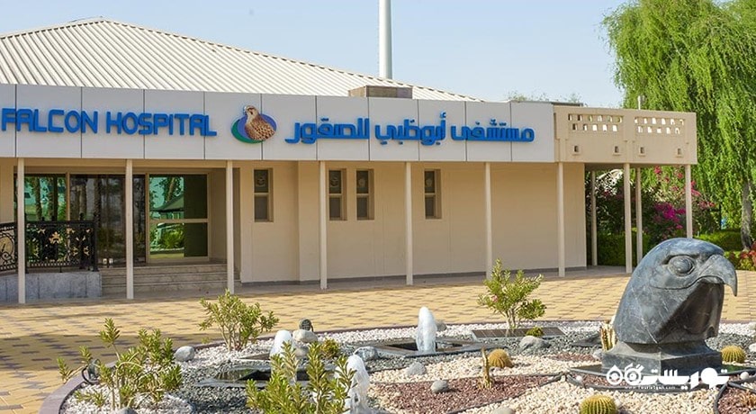  بیمارستان شاهین ابوظبی شهر امارات متحده عربی کشور ابوظبی