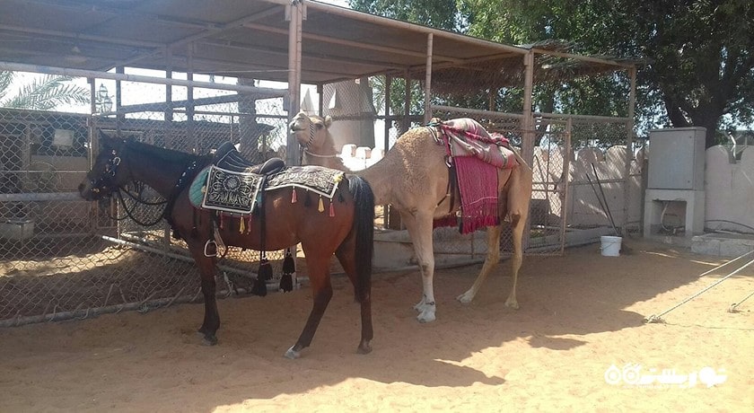  دهکده میراث شهر امارات متحده عربی کشور ابوظبی