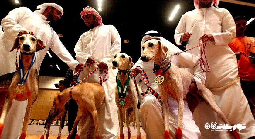  مرکز سالوکی عربی شهر امارات متحده عربی کشور ابوظبی