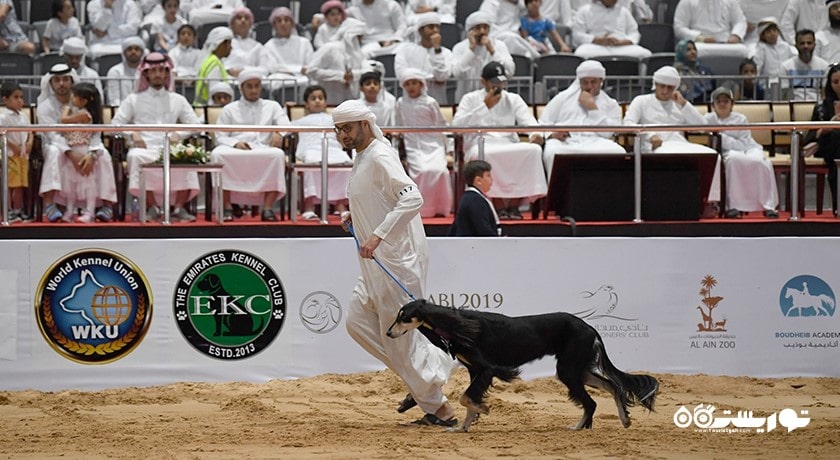  مرکز سالوکی عربی شهر امارات متحده عربی کشور ابوظبی