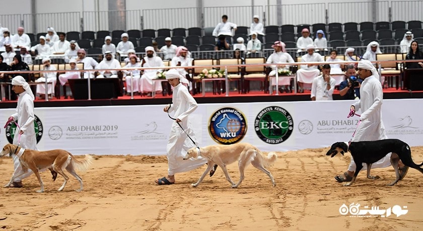  مرکز سالوکی عربی شهر امارات متحده عربی کشور ابوظبی