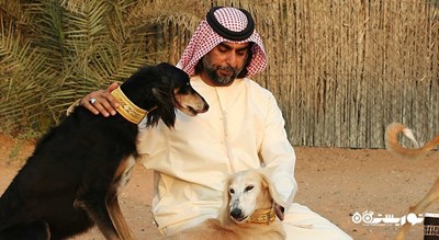  مرکز سالوکی عربی شهر امارات متحده عربی کشور ابوظبی