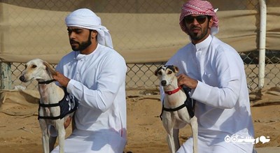  مرکز سالوکی عربی شهر امارات متحده عربی کشور ابوظبی