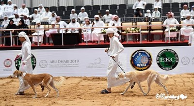 مرکز سالوکی عربی -  شهر ابوظبی