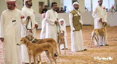  مرکز سالوکی عربی شهر امارات متحده عربی کشور ابوظبی