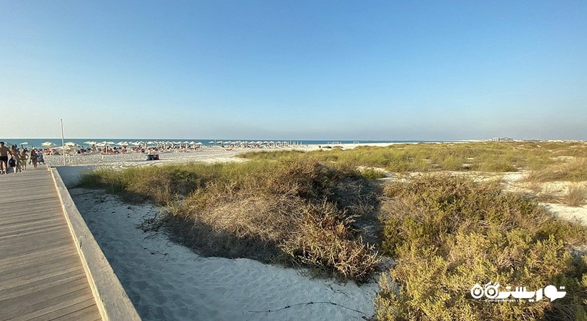 سرگرمی ساحل عمومی سعدیات شهر امارات متحده عربی کشور ابوظبی